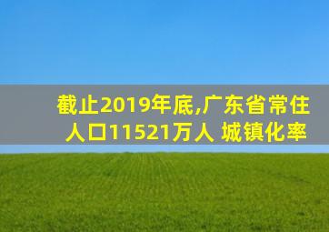 截止2019年底,广东省常住人口11521万人 城镇化率